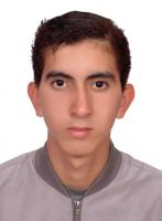 mehdi L.