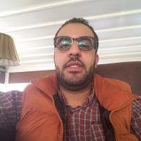 Amine L.