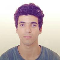 ayman E.