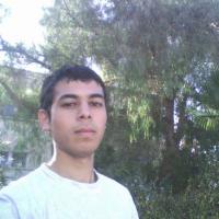 Mostafa E.