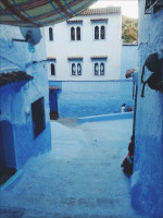 ghazal E.