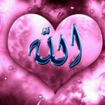 hamid I.