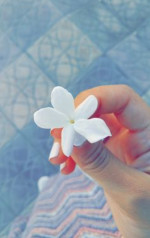 Nisrine E.