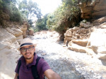Ayoub F.