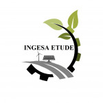 INGESA E.