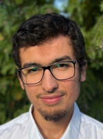 Abdelwaly A.
